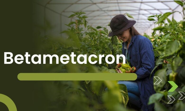 betametacron: The Essential Treatment for Inflammatory Disorders