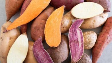 how far did sweet potatoes travel to georgia: A Culinary Voyage Across Continents
