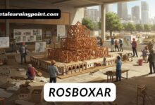 rosboxar: The Role of Community in Shaping the Development