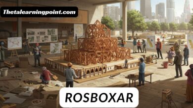 rosboxar: The Role of Community in Shaping the Development