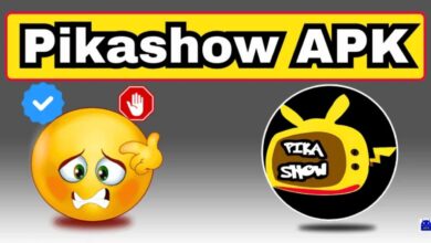 Pikashow APK Download: Safe and Easy Installation on Your Device