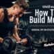 Wellhealth How To Build Muscle Tag: Essential Tips for Effective Muscle Growth