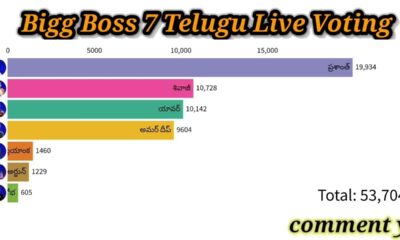 Bigg Boss 3 Telugu Vote: The Power of Vote In Audience Engagement