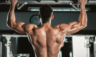 Wellhealth how to build muscle tag: Strategies for Effective Muscle Building