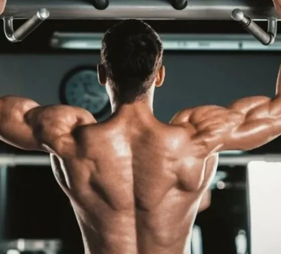 Wellhealth how to build muscle tag: Strategies for Effective Muscle Building