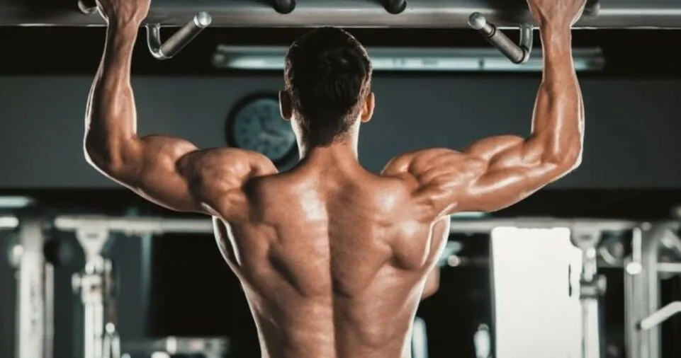 Wellhealth how to build muscle tag: Strategies for Effective Muscle Building